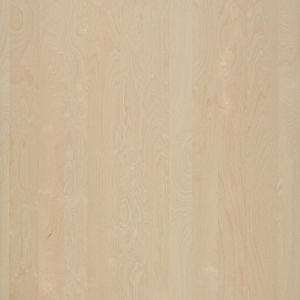 Nordus MDF Snow birch